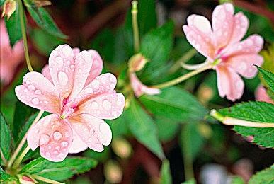 经典游戏归来《双截龙外传：龙之崛起》正式上市